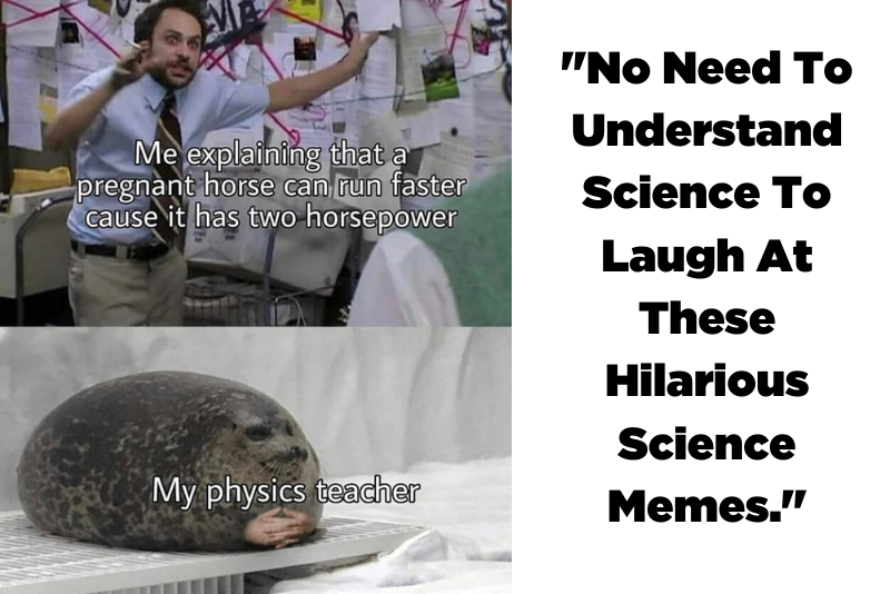 No Need To Understand Science To Laugh At These Hilarious Science Memes ...